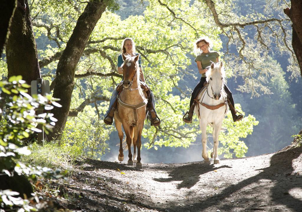 Hotel Center Parcs Heijderbos Limburg-Weeze Heijen Zewnętrze zdjęcie